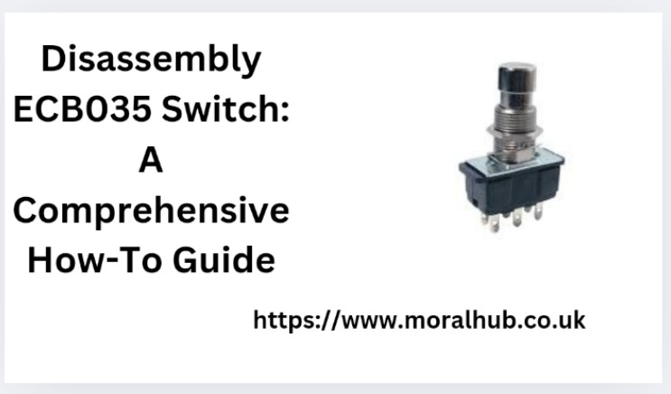 Disassembly ECB035 Switch